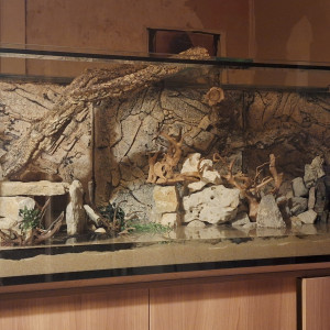 Publication de Lafeeverte