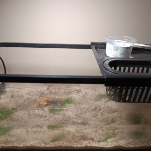 Publication de ilovehamster78