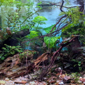 Publication de ArtemusKlegg