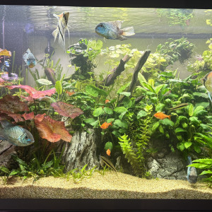 Publication de Alex69