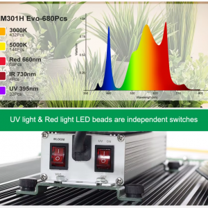 Publication de Lafeeverte