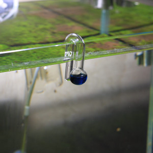 Publication de Erzalt