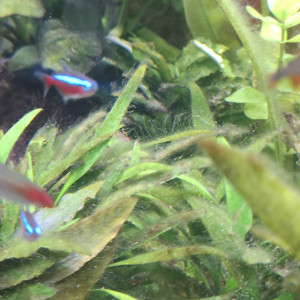 Publication de Guiguidu57