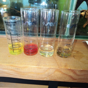 Publication de Chewbaccka