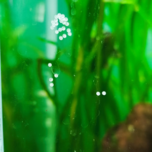 Publication de Herve92