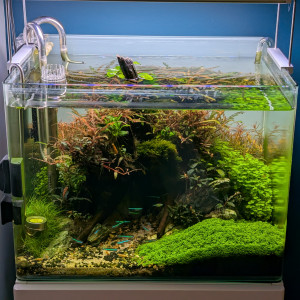 Publication de Jo2212