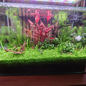 Publication de Olivoliv