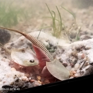 Publication de ilovehamster78