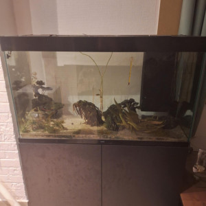 Aquarium 200L Ciano