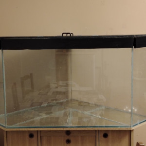 Aquarium sur mesure