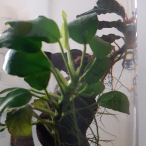 Publication de lolito77