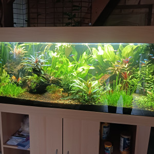 Publication de Lumio44