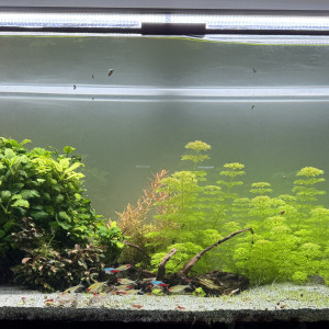 Publication de Alexxis