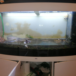 Publication de Barbu62