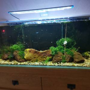 Publication de Marcellin