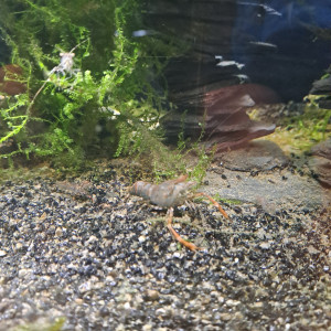 Publication de Maemaddy