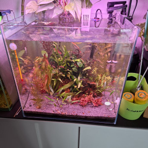 Publication de AquaduSud