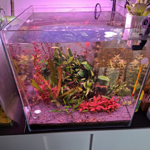 Publication de AquaduSud