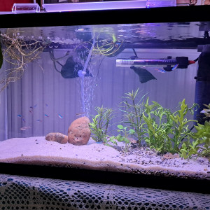 Communautaire 70 litres