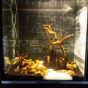 Publication de STK54