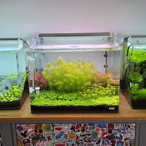 Publication de boubou59