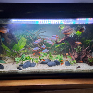 Publication de Maemaddy