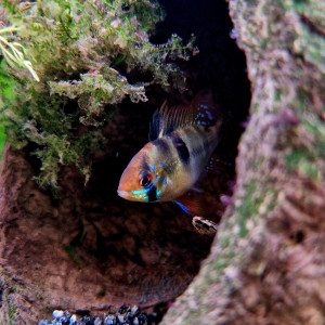 Publication de fmaill14