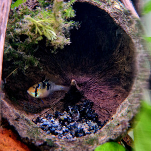 Publication de fmaill14