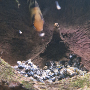 Publication de fmaill14