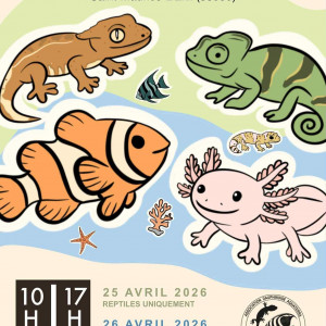 Bourse aux poissons et reptiles de St Maurice l'Exil 38550