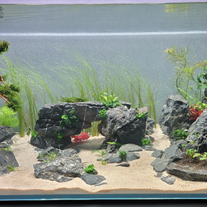 Publication de Stephane83