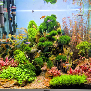 Publication de Yannick66