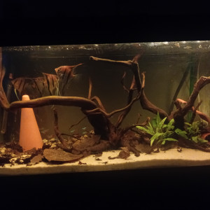 Publication de vv091v