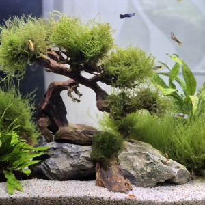 Publication de cecile1170751