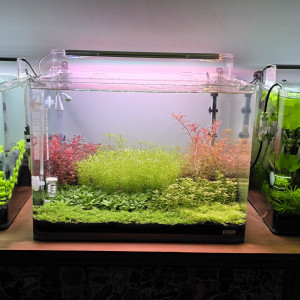 Publication de boubou59