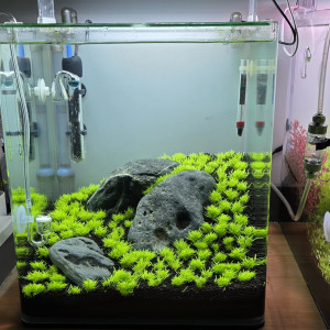 Publication de boubou59