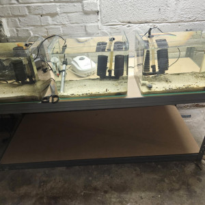 Batteries aquarium
