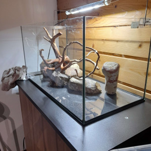 Publication de SayroTDF