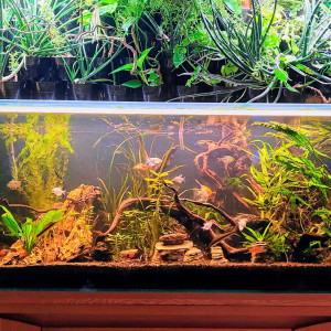 Publication de Francky.H