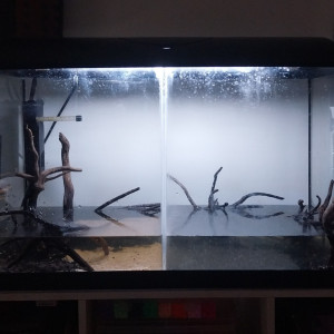 Publication de Yoshi971