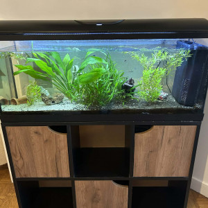 Aquarium 100 L Zolux