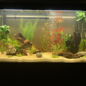 Publication de Julie79