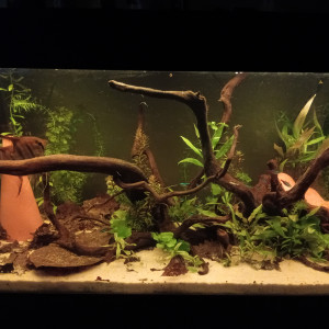 Publication de vv091v