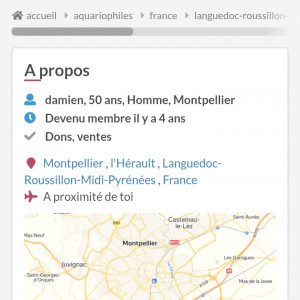 Publication de Fishnships