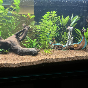 Publication de Wake_Up