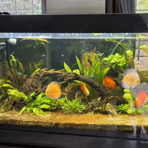 Publication de frederic-obami