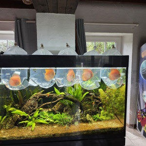 Publication de frederic-obami