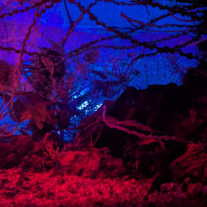 Publication de ArtemusKlegg