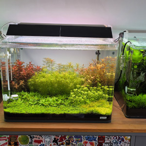 Publication de boubou59