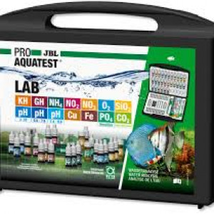 Publication de Alexxis